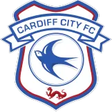 Cardiff City - soccerdiveshop